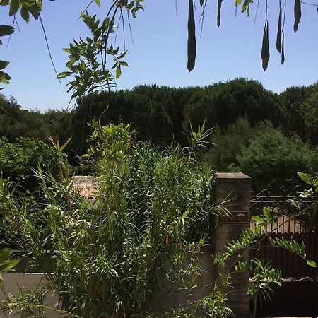 Maison D'Elie Saint-Tropez Exteriör bild