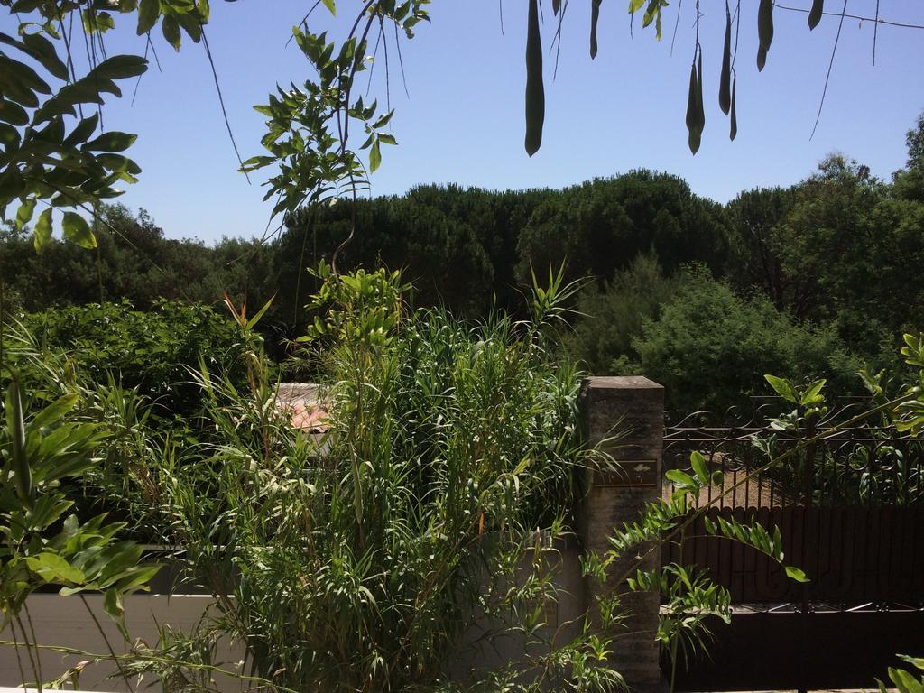 Maison D'Elie Saint-Tropez Exteriör bild